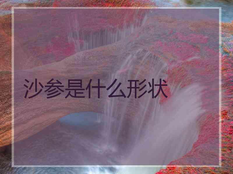 沙参是什么形状 沙参是什么形状