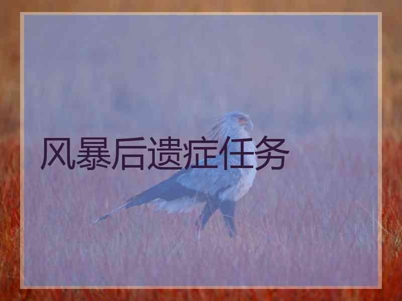 风暴后遗症任务 风暴后遗症任务