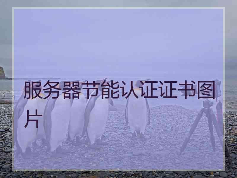 服务器节能认证证书图片 服务器节能认证证书图片