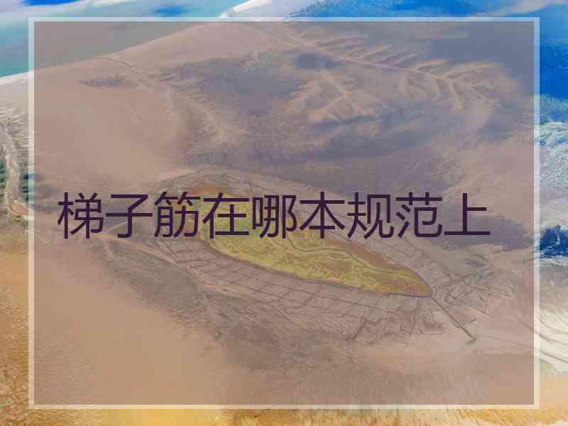 梯子筋在哪本规范上 梯子筋在哪本规范上