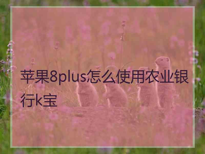 苹果8plus怎么使用农业银行k宝 苹果8plus怎么使用农业银行k宝