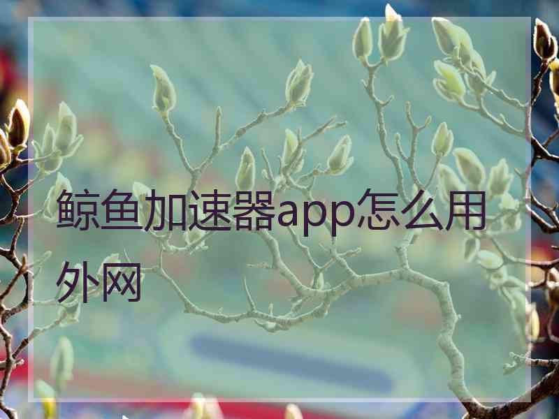 鲸鱼加速器app怎么用外网 鲸鱼加速器app怎么用外网