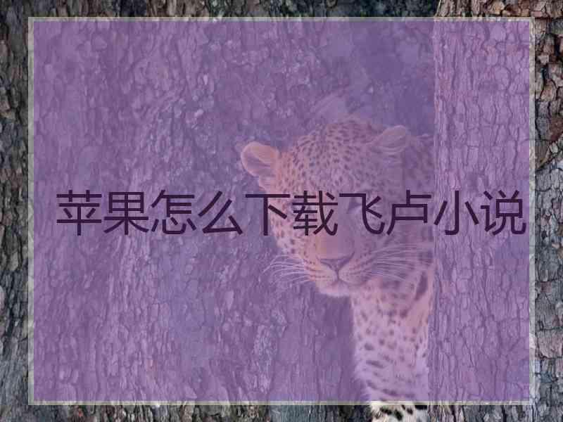 苹果怎么下载飞卢小说 苹果怎么下载飞卢小说