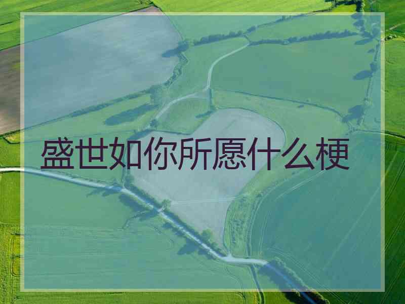 盛世如你所愿什么梗 盛世如你所愿什么梗