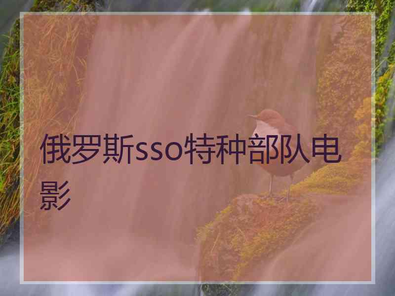 俄罗斯sso特种部队电影 俄罗斯sso特种部队电影