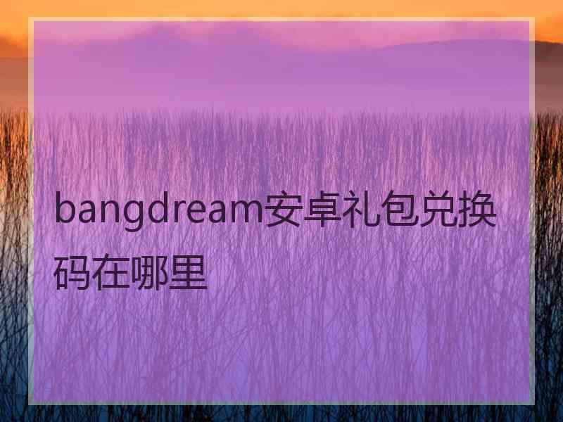 bangdream安卓礼包兑换码在哪里 bangdream安卓礼包兑换码在哪里