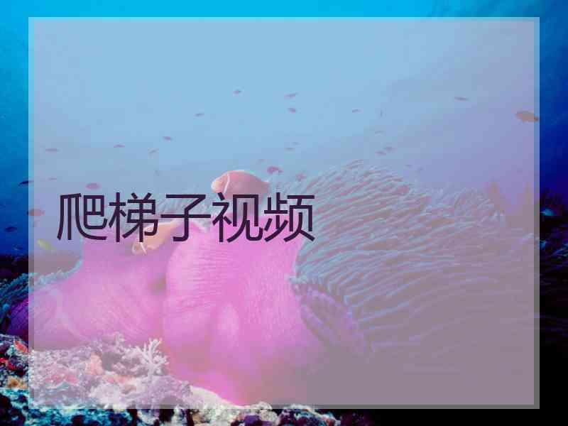 爬梯子视频 爬梯子视频