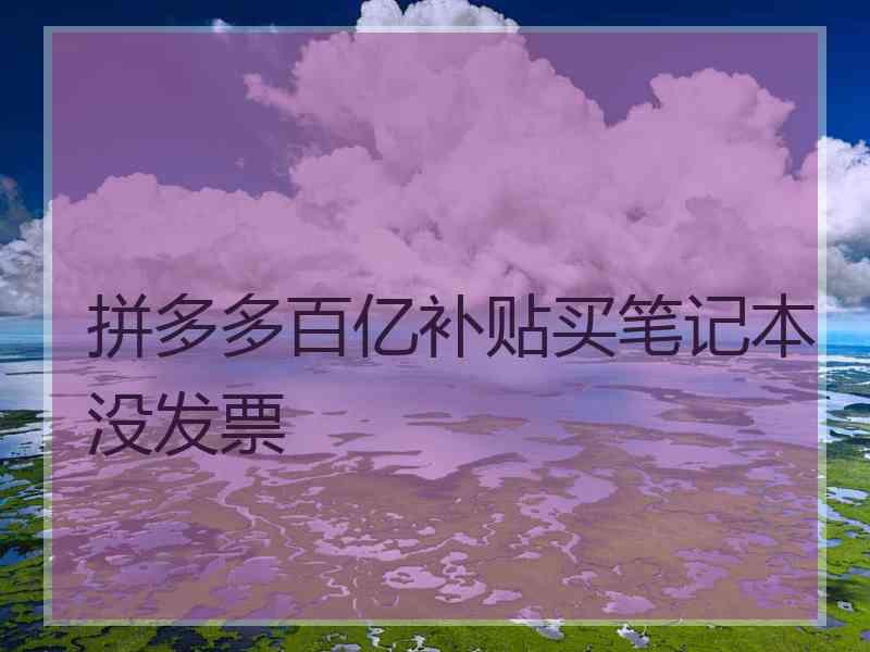 拼多多百亿补贴买笔记本没发票 拼多多百亿补贴买笔记本没发票