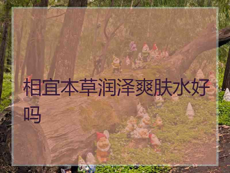 相宜本草润泽爽肤水好吗 相宜本草润泽爽肤水好吗