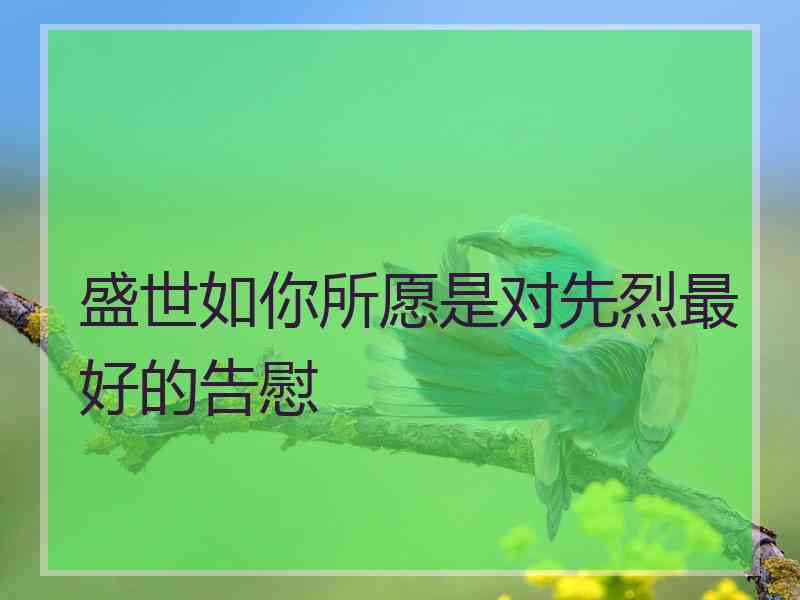 盛世如你所愿是对先烈最好的告慰 盛世如你所愿是对先烈最好的告慰