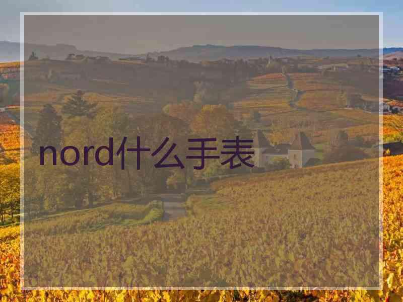 nord什么手表 nord什么手表
