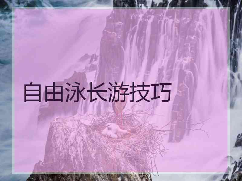 自由泳长游技巧 自由泳长游技巧