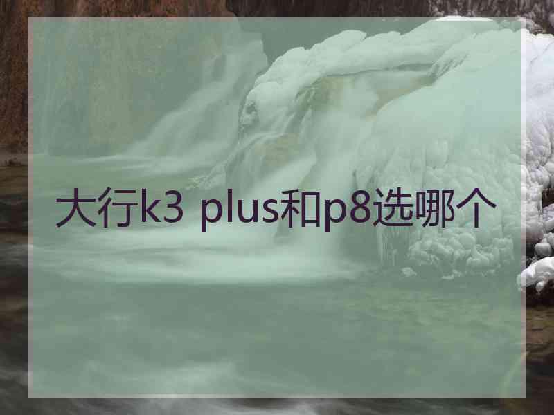 大行k3 plus和p8选哪个 大行k3 plus和p8选哪个