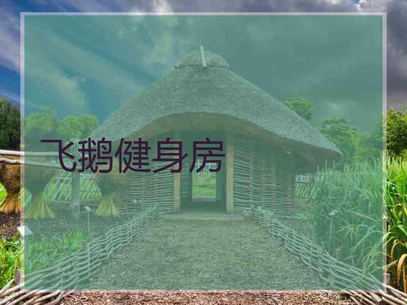 飞鹅健身房 飞鹅健身房