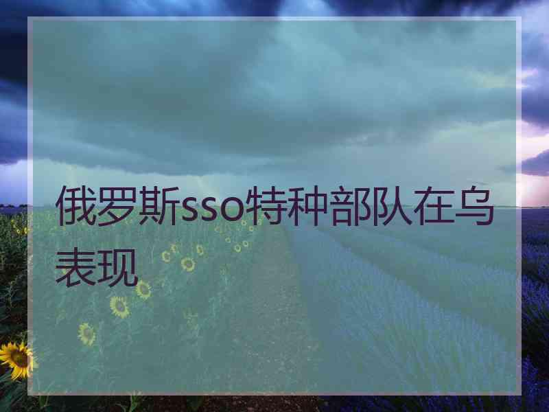 俄罗斯sso特种部队在乌表现 俄罗斯sso特种部队在乌表现