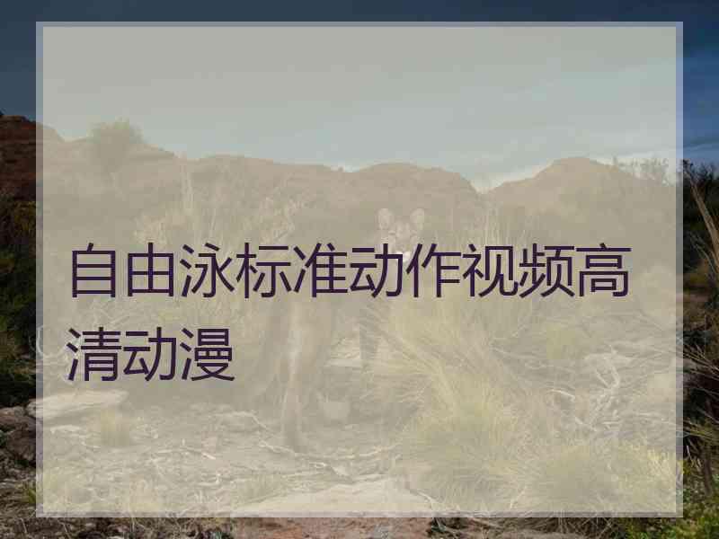 自由泳标准动作视频高清动漫 自由泳标准动作视频高清动漫
