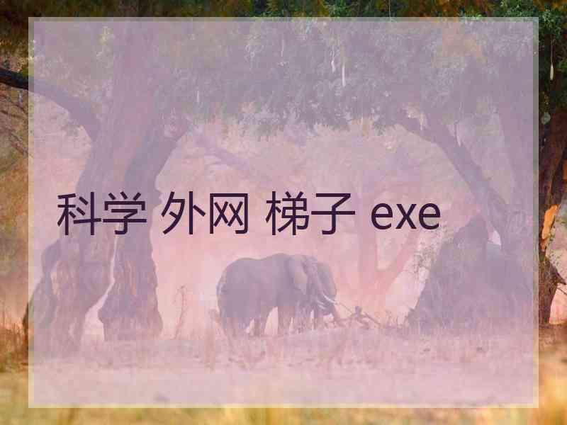 科学 外网 梯子 exe 科学 外网 梯子 exe