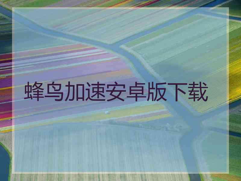 蜂鸟加速安卓版下载 蜂鸟加速安卓版下载