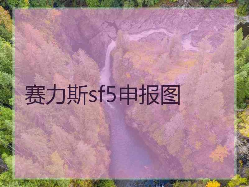 赛力斯sf5申报图 赛力斯sf5申报图
