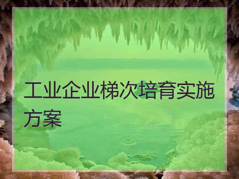 工业企业梯次培育实施方案 工业企业梯次培育实施方案