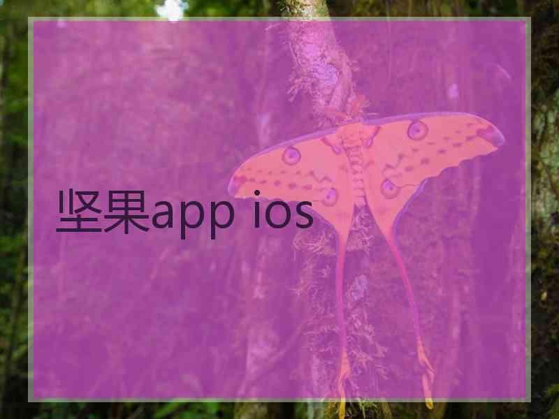 坚果app ios