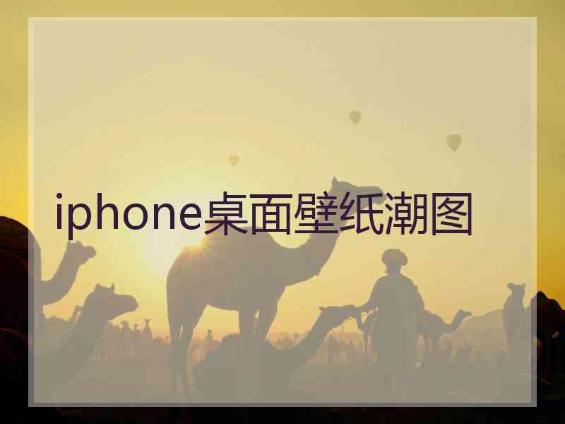 iphone桌面壁纸潮图 iphone桌面壁纸潮图