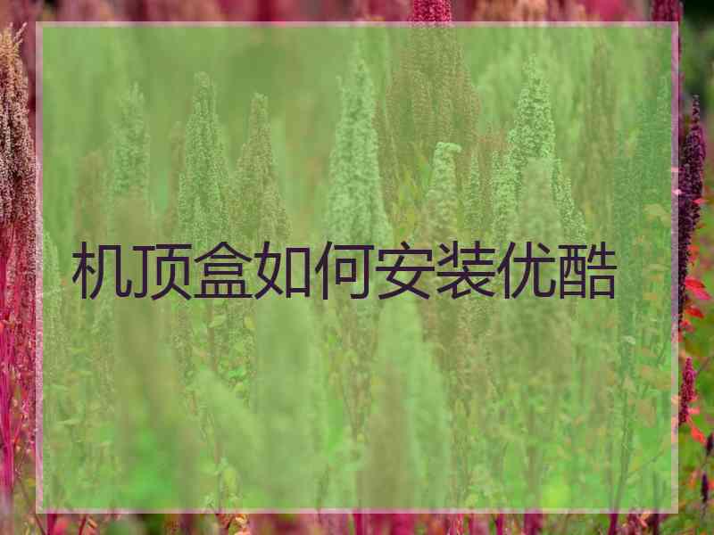 机顶盒如何安装优酷 机顶盒如何安装优酷