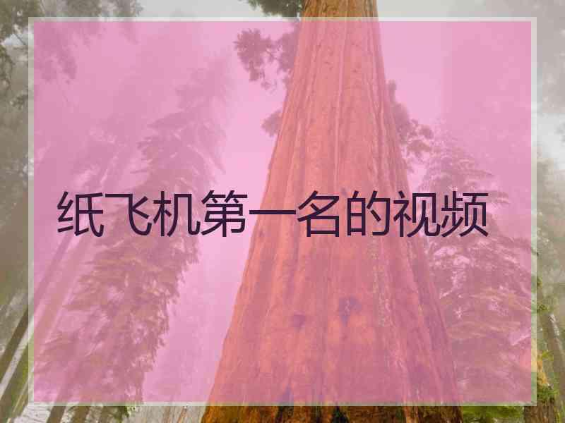 纸飞机第一名的视频 纸飞机第一名的视频