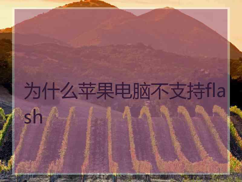 为什么苹果电脑不支持flash 为什么苹果电脑不支持flash