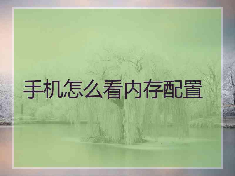 手机怎么看内存配置 手机怎么看内存配置