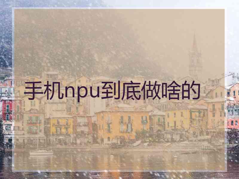手机npu到底做啥的 手机npu到底做啥的
