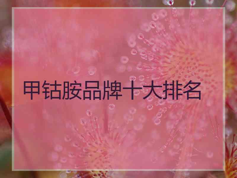 甲钴胺品牌十大排名 甲钴胺品牌十大排名