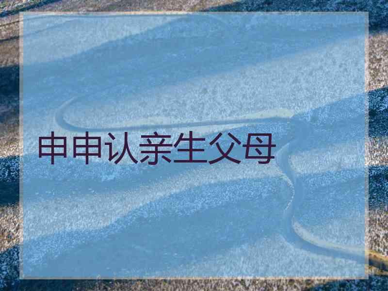 申申认亲生父母 申申认亲生父母