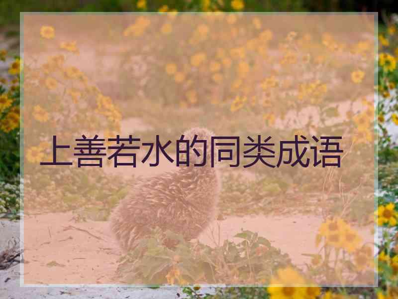 上善若水的同类成语 上善若水的同类成语