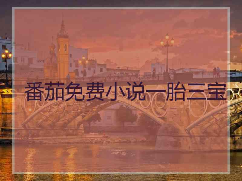 番茄免费小说一胎三宝 番茄免费小说一胎三宝