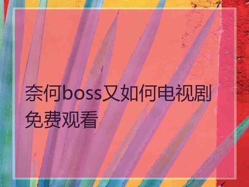 奈何boss又如何电视剧免费观看 奈何boss又如何电视剧免费观看