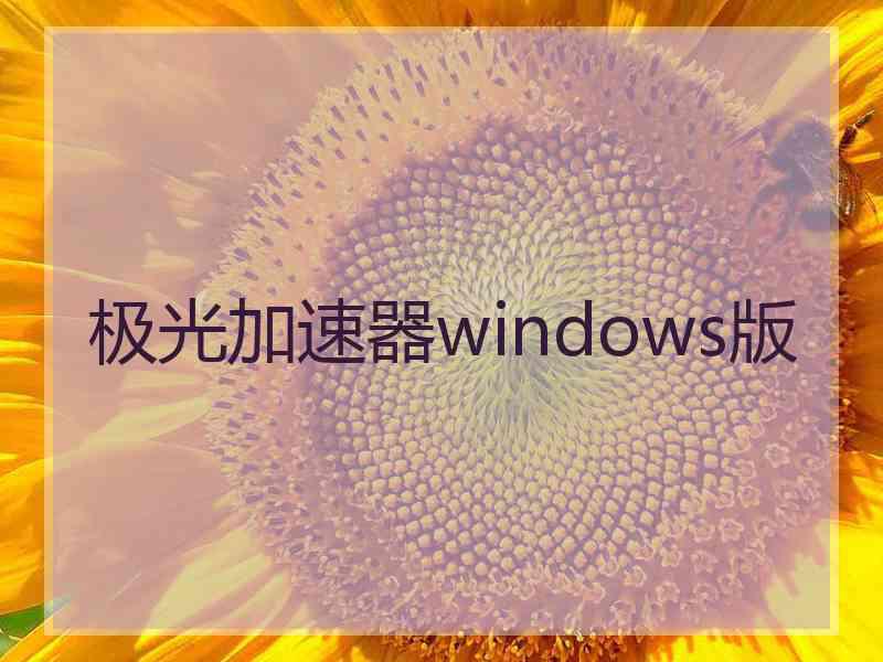 极光加速器windows版 极光加速器windows版
