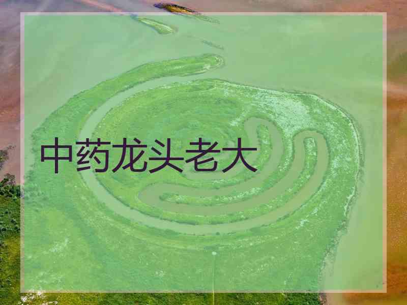 中药龙头老大 中药龙头老大