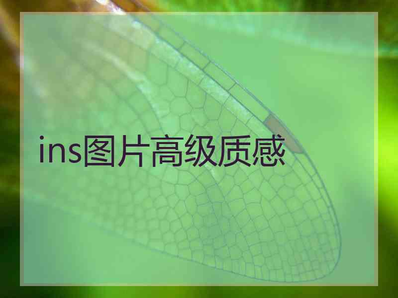 ins图片高级质感 ins图片高级质感
