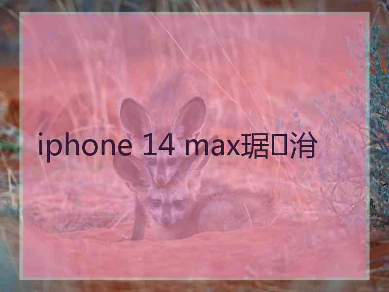 iphone 14 max琚洕