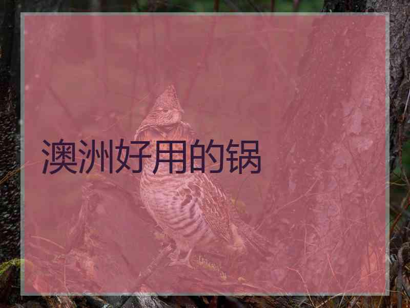 澳洲好用的锅 澳洲好用的锅