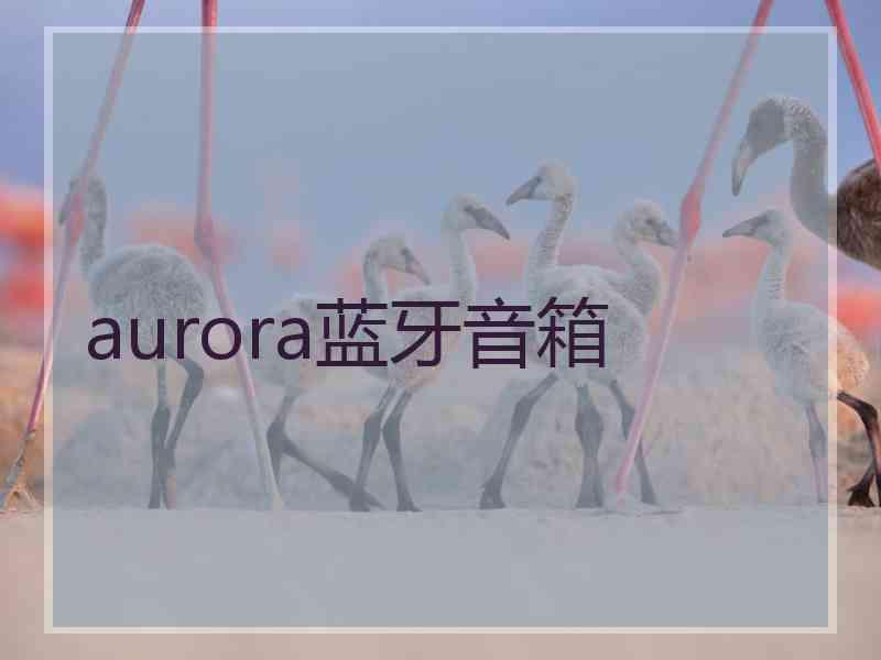 aurora蓝牙音箱 aurora蓝牙音箱