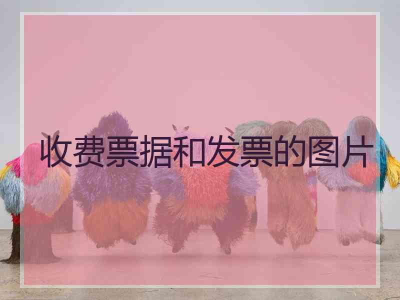 收费票据和发票的图片 收费票据和发票的图片