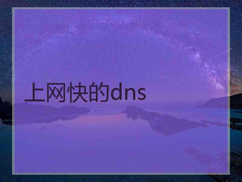 上网快的dns 上网快的dns