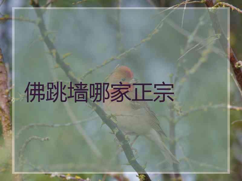 佛跳墙哪家正宗 佛跳墙哪家正宗