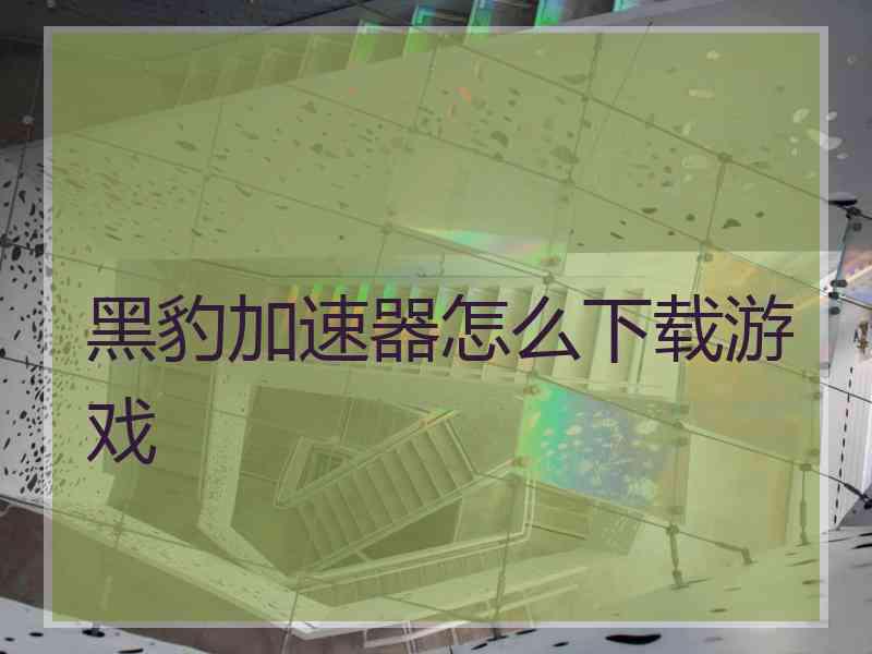 黑豹加速器怎么下载游戏 黑豹加速器怎么下载游戏