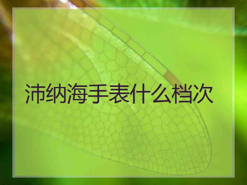 沛纳海手表什么档次 沛纳海手表什么档次