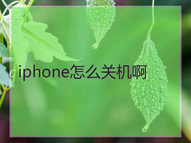 iphone怎么关机啊 iphone怎么关机啊