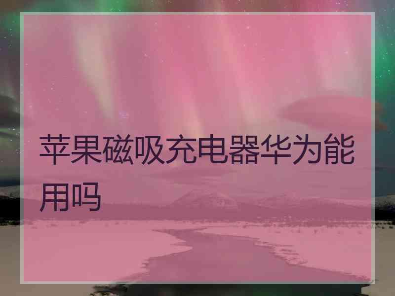 苹果磁吸充电器华为能用吗 苹果磁吸充电器华为能用吗