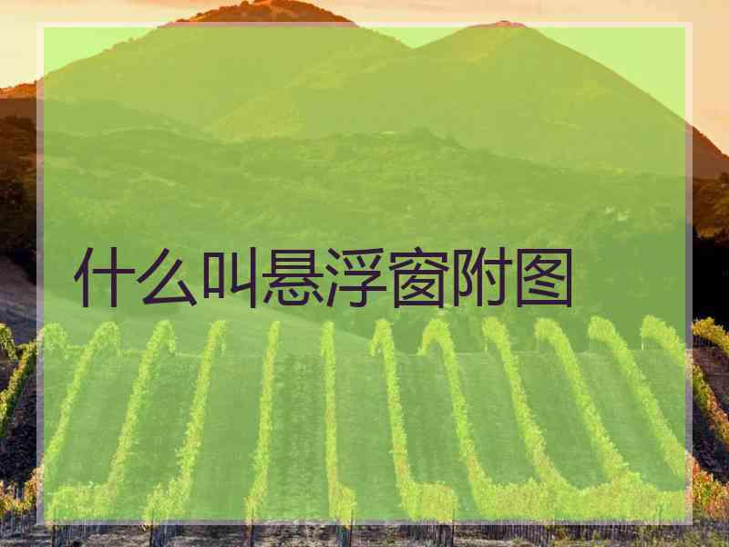 什么叫悬浮窗附图 什么叫悬浮窗附图